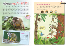 Load image into Gallery viewer, 小牛頓高階科普遊戲書--PLAY&LEARN