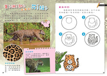 Load image into Gallery viewer, 小牛頓高階科普遊戲書--PLAY&LEARN