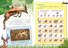 Load image into Gallery viewer, 小牛頓高階科普遊戲書--PLAY&LEARN
