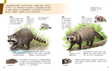 Load image into Gallery viewer, 小牛頓2024新品--一樣不一樣