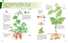 Load image into Gallery viewer, 小牛頓2024新品--一樣不一樣