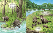 Load image into Gallery viewer, 小牛頓2024新品--一樣不一樣