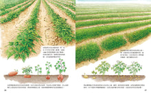 Load image into Gallery viewer, 小牛頓2024新品--一樣不一樣