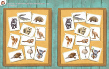 Load image into Gallery viewer, 小牛頓2024新品--一樣不一樣