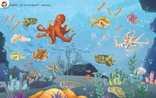 Load image into Gallery viewer, 小牛頓2024新品--一樣不一樣