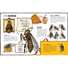 Load image into Gallery viewer, 動物大調查:討喜夥伴篇