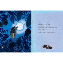 Load image into Gallery viewer, 大刺蝟與小刺蝟1:等一下
