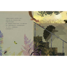Load image into Gallery viewer, 大刺蝟與小刺蝟2:我不怕