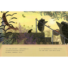 Load image into Gallery viewer, 大刺蝟與小刺蝟2:我不怕