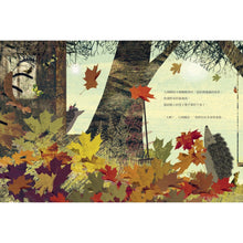 Load image into Gallery viewer, 大刺蝟與小刺蝟3:我也會