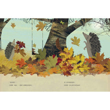 Load image into Gallery viewer, 大刺蝟與小刺蝟3:我也會