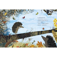 Load image into Gallery viewer, 大刺蝟與小刺蝟3:我也會