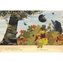 Load image into Gallery viewer, 大刺蝟與小刺蝟3:我也會