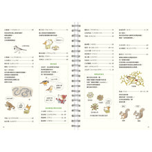 Load image into Gallery viewer, 阿尼的四季時光:春夏 x 秋冬