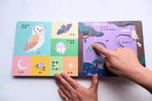 Load image into Gallery viewer, 手眼協調繪本 帶寶寶回家