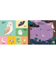 Load image into Gallery viewer, 手眼協調繪本 帶寶寶回家