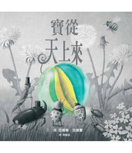 Load image into Gallery viewer, 寶從天上來