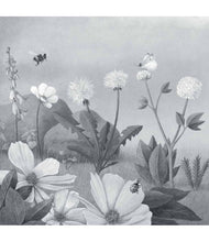 Load image into Gallery viewer, 寶從天上來