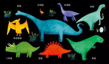 Load image into Gallery viewer, 恐龍捉迷藏