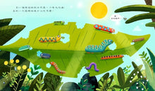 Load image into Gallery viewer, 法蘭克美不美