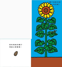 Load image into Gallery viewer, 花開了!