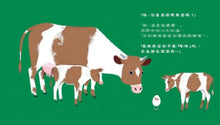 Load image into Gallery viewer, 你是我的媽媽蛋嗎?