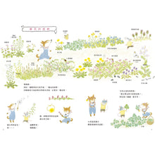 Load image into Gallery viewer, 阿尼的四季時光:春夏 x 秋冬