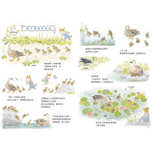 Load image into Gallery viewer, 阿尼的四季時光:春夏 x 秋冬