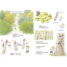 Load image into Gallery viewer, 阿尼的四季時光:春夏 x 秋冬