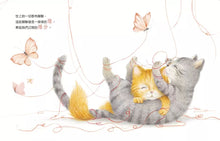 Load image into Gallery viewer, 對不起,其實我很在乎你