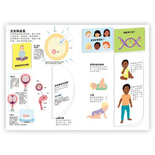Load image into Gallery viewer, 小小知識家動手大發現:人體 Amazing