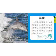 Load image into Gallery viewer, 圖鑑小百科:恐龍 x 動物 x 海洋 x 甲蟲