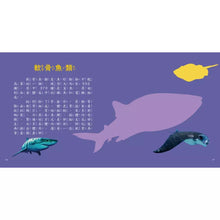 Load image into Gallery viewer, 圖鑑小百科:恐龍 x 動物 x 海洋 x 甲蟲