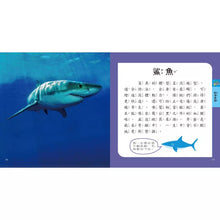 Load image into Gallery viewer, 圖鑑小百科:恐龍 x 動物 x 海洋 x 甲蟲