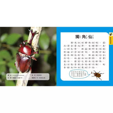 Load image into Gallery viewer, 圖鑑小百科:恐龍 x 動物 x 海洋 x 甲蟲