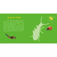 Load image into Gallery viewer, 圖鑑小百科:恐龍 x 動物 x 海洋 x 甲蟲