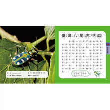 Load image into Gallery viewer, 圖鑑小百科:恐龍 x 動物 x 海洋 x 甲蟲