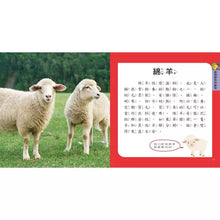 Load image into Gallery viewer, 圖鑑小百科:恐龍 x 動物 x 海洋 x 甲蟲