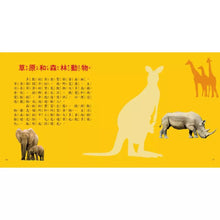 Load image into Gallery viewer, 圖鑑小百科:恐龍 x 動物 x 海洋 x 甲蟲