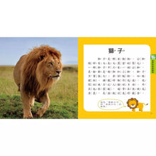 Load image into Gallery viewer, 圖鑑小百科:恐龍 x 動物 x 海洋 x 甲蟲