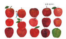 Load image into Gallery viewer, 蘋果幾歲呢?