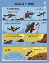 Load image into Gallery viewer, 歡迎來我家!動物的奇妙生活 1-2