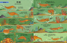 Load image into Gallery viewer, 歡迎來我家!動物的奇妙生活 3~4