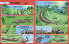 Load image into Gallery viewer, 歡迎來我家!動物的奇妙生活 3~4