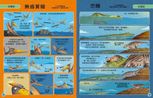 Load image into Gallery viewer, 歡迎來我家!動物的奇妙生活 3~4