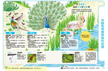 Load image into Gallery viewer, 【科學小種籽】第一輯生物篇:給3~8歲好奇孩子的科學閱讀 (全套3冊)