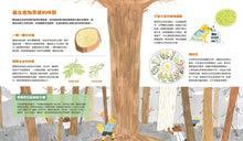 Load image into Gallery viewer, 時間從哪裡來:給孩子的時間啟蒙百科全書