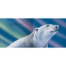 Load image into Gallery viewer, 極光下的相遇