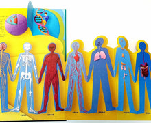 Load image into Gallery viewer, 哇!人體百科變立體了