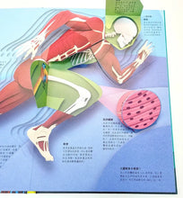 Load image into Gallery viewer, 哇!人體百科變立體了